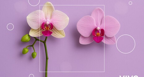 ¿Una vagina realista realmente se siente real?