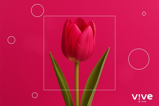 ¿Cuál es la edad recomendada para usar juguetes sexuales para la vagina?