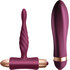 Vibrating Bullet and Anal Toy