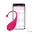 Jouet sexuel avec application