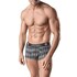 Sporty Grey Boxer, Perfect Fit, Made from Polyamide and Spandex