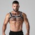 Harnais audacieux et polyvalent avec maille renforcée et design unique