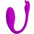 Long-Distance App-Controlled Pleasure Toy