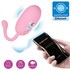 Vibrador portátil com controlo remoto