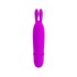 Vibrador/massageador clitoriano Boyce em silicone lilás