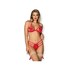 Enticing and Seductive Erotic Lingerie Set