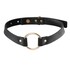 Vegan Collar: Adjustable, Elegant, and Provocative for BDSM