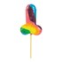 RAINBOW COCK LOLLIPOP LGBT