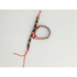 Adjustable Bracelet with LGBT+ Flag Colors