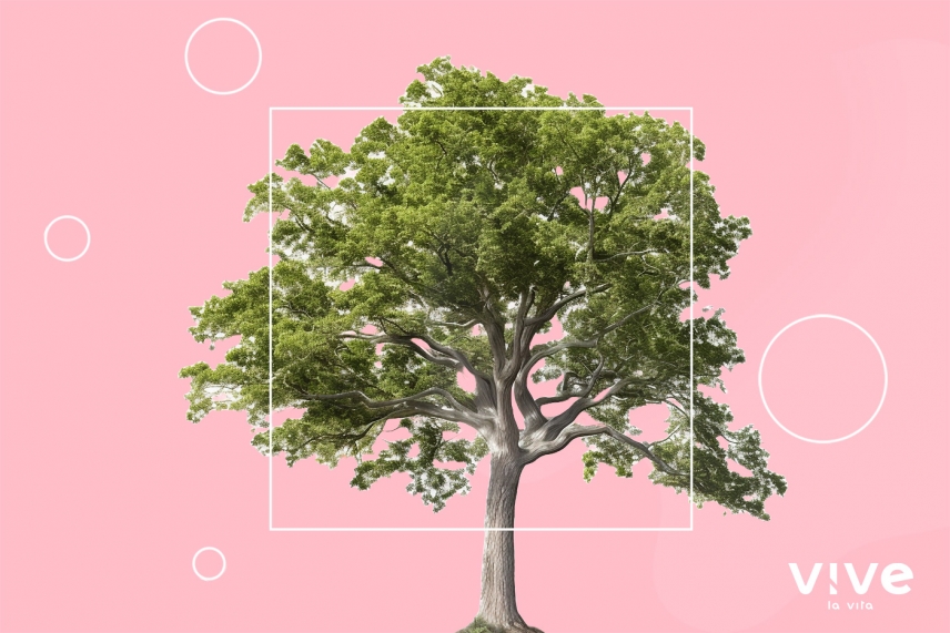 ¿Cuál es el impacto de la industria de los dildos en el medio ambiente?