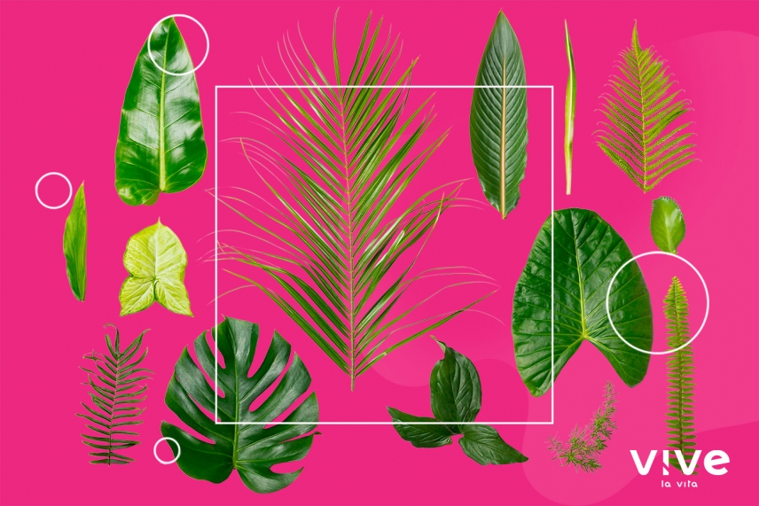 ¿Es diferente la composición de los aceites eróticos naturales y sintéticos?