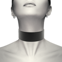 CHIC DESIRE 0 SHOKERS