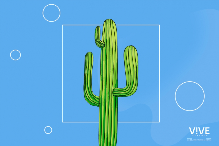 Os 5 melhores lubrificantes naturais para a menopausa