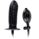 BIGGER JOY ENLARGER