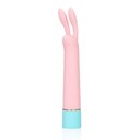 MINI RABBIT
